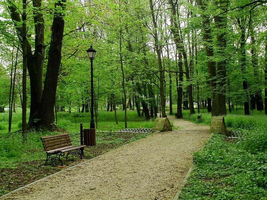 W ostatnich latach park w Skołyszynie nie cieszył oka....