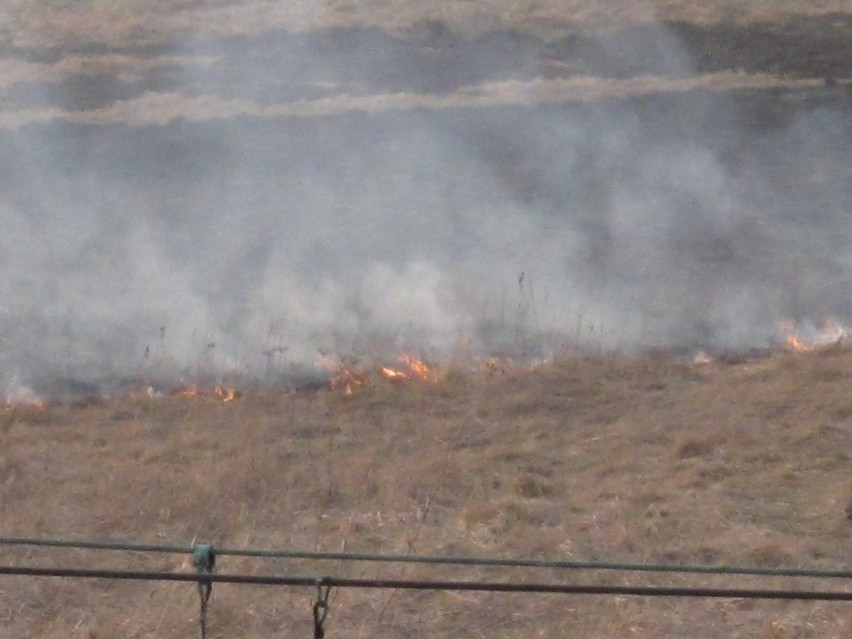 Wypalanie traw w Boguszowie-Gorcach. 8 marca płonęły...