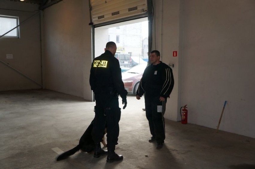 Psy raciborskiej policji ratują życie i tropią złodziei