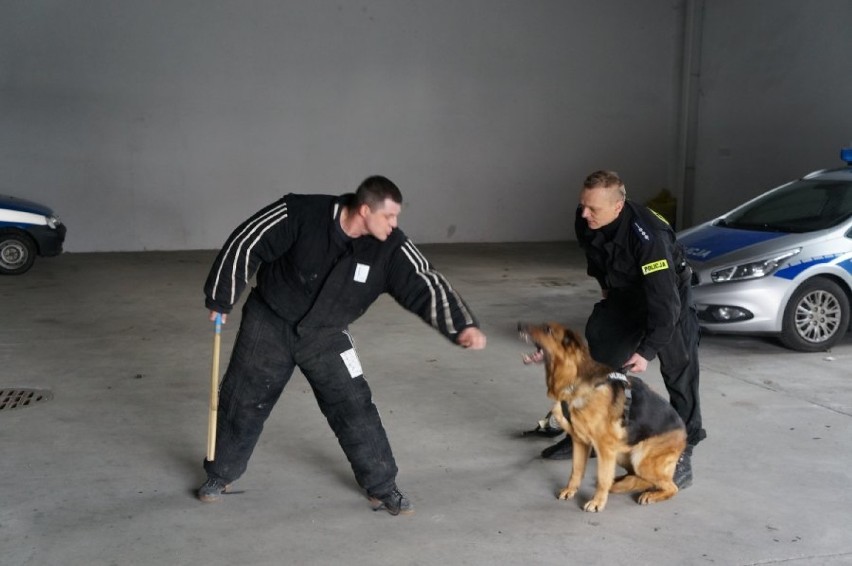 Psy raciborskiej policji ratują życie i tropią złodziei