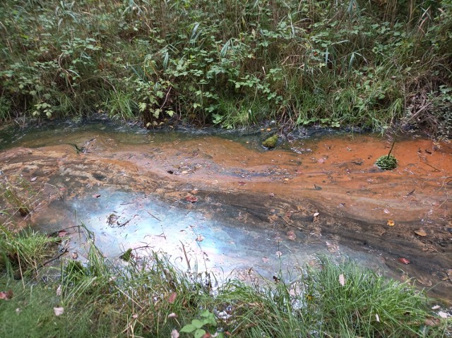 Wody powierzchniowe potoku Wąwolnica, stanowiące zlewnię Wisły nie spełniają parametrów dobrego stanu wód. Charakterystyczne zanieczyszczenia to: pestycydy oraz siarczany, cyjanki i fenole.
