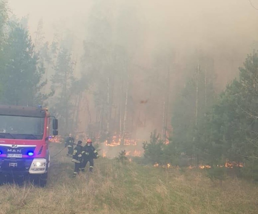 Jednostki OSP i PSP z całego województwa gasiły duży pożar...