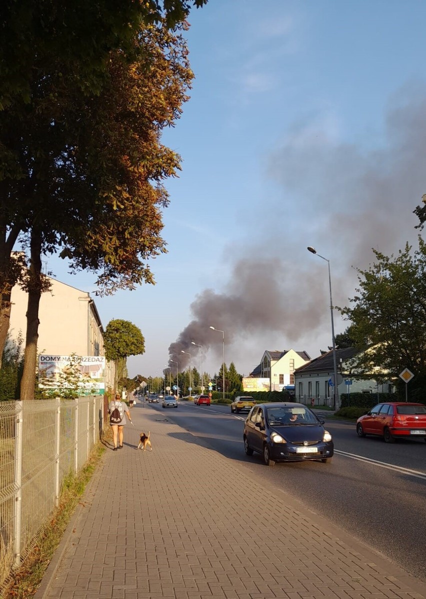 Pożar pustostanu przy ulicy Gipsowej w Piotrkowie. Na miejscu kilka zastępów straży ZDJĘCIA, VIDEO