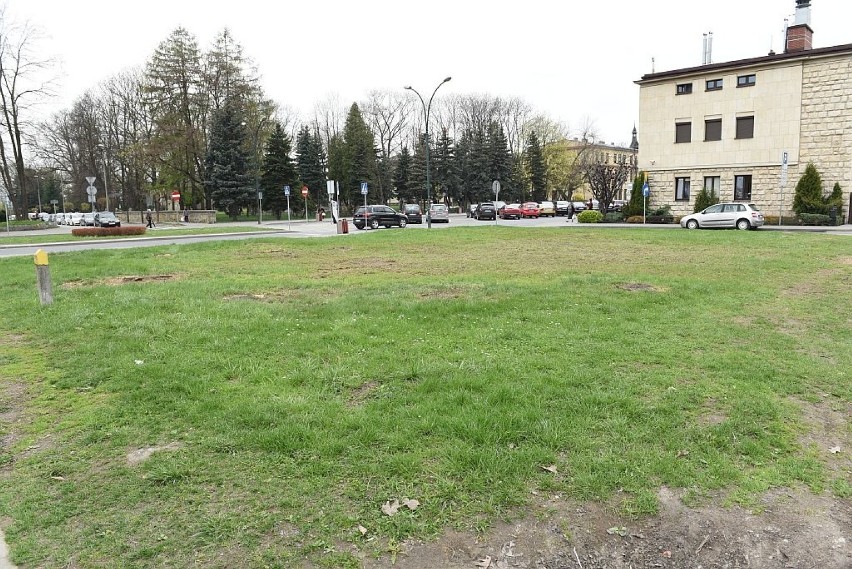 Nowy Sącz. W centrum miasta wycięto 18 drzew. Radny Hojnor: zupełnie niepotrzebnie