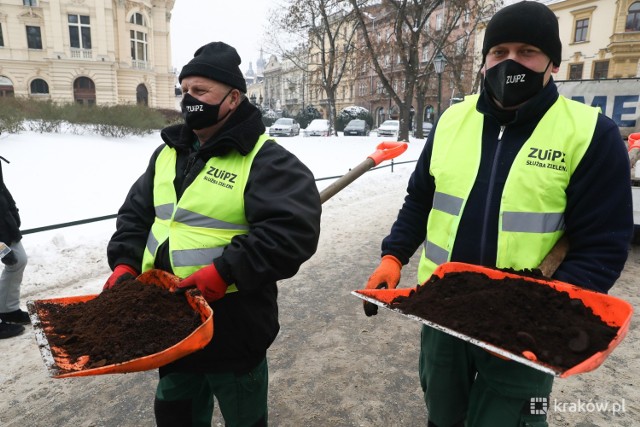 Kraków już sypie fusy z kawy na chodniki, Wojkowice pilotażowo będą je testować w parku miejskim. Pojemnik na fusy już stoi Zobacz kolejne zdjęcia/plansze. Przesuwaj zdjęcia w prawo - naciśnij strzałkę lub przycisk NASTĘPNE