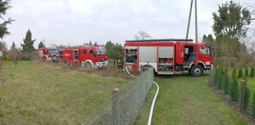 Pożar domku letniskowego na jednym z ROD w Skierniewicach. Nie zostało praktycznie nic