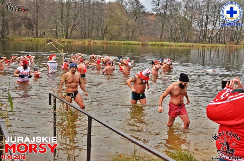 Jurajskie Morsy podczas Święta Niepodległości [FOTO]