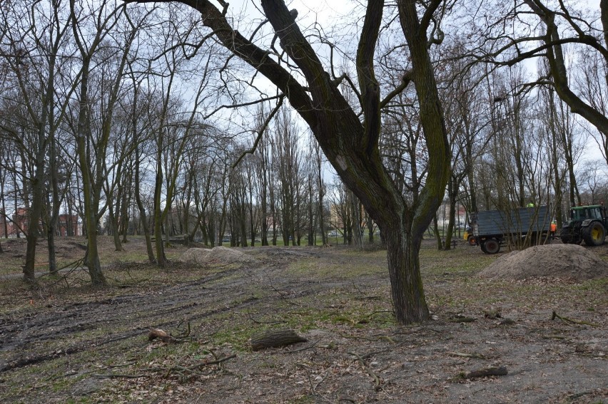 Żary.Ekipy uwijają się jak mrówki. Park przy al. Jana Pawła II odzyska dawny blask