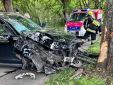 Gmina Choczewo. Wypadek w Łętowie (28.07.2022). 79-latek zjechał na pobocze i uderzył w drzewo. Pasażerka trafiła do szpitala | ZDJĘCIA