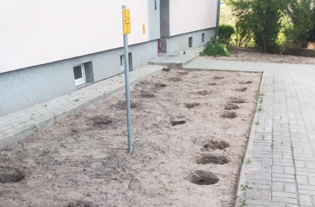 Zdaniem mieszkańca osiedla Piastowskiego - trawnik został zdewastowany