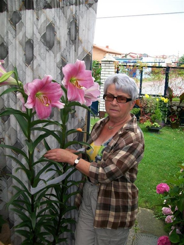 Wanda Rożnowska z Sulejowa w pielęgnację ogrodu wkłada całe  serce. Jej miłość do roślin sprawia, że ogród cały czas się rozwija