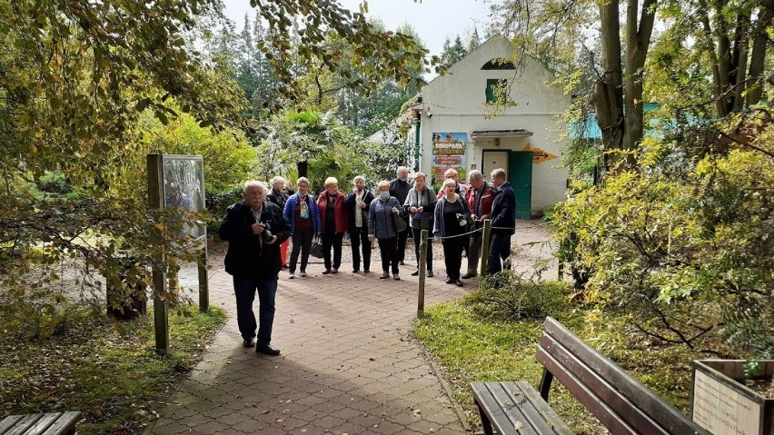 Seniorzy z klubu "Rawka" w Skierniewicach odwiedzili wczoraj Arboretum w Rogowie [ZDJĘCIA]