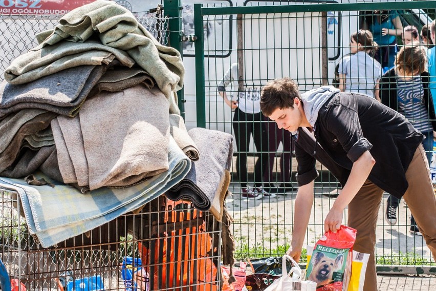 Wroniecka młodzież zawiozła do schroniska w Przyborówku ponad 100 kg karmy i koce [FOTO]