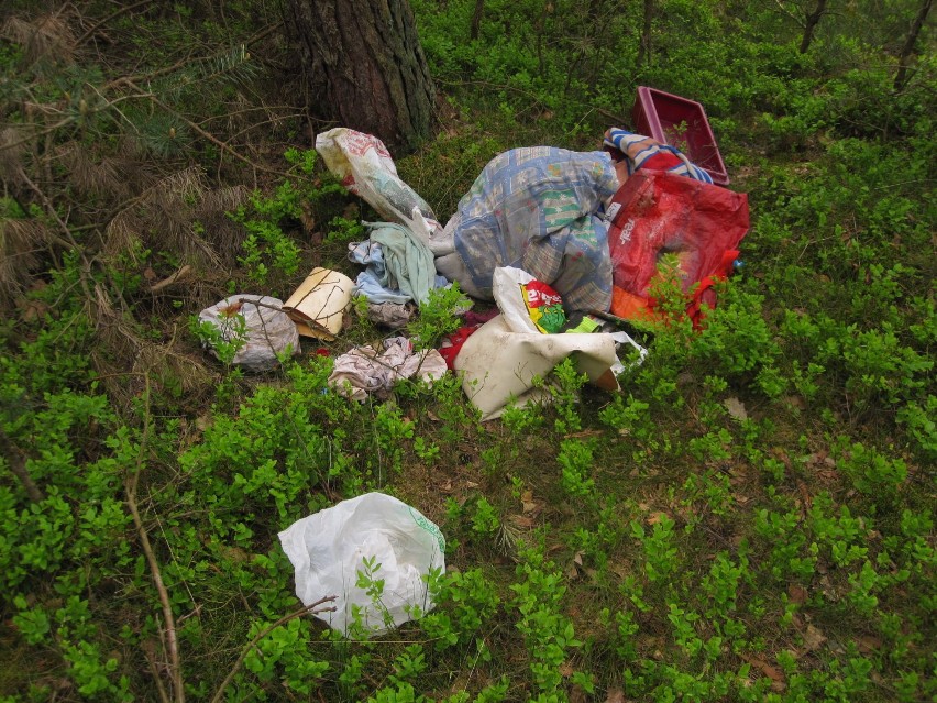 Śmieci nadal wyrzucane są w lasach