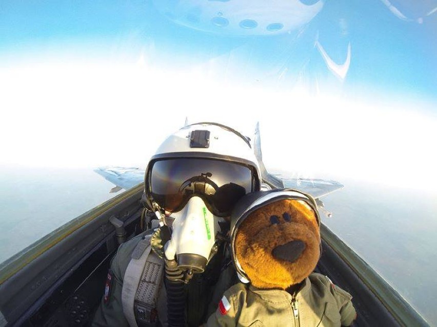 Boguś Niedźwiedź - akcja pilotów z Malborka. Latający miś z 22 BLT 