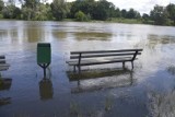 Podnosi się poziom wody w Odrze. W Głogowie jest już powyżej stanu ostrzegawczego. Jak wygląda sytuacja w Nowej Soli?