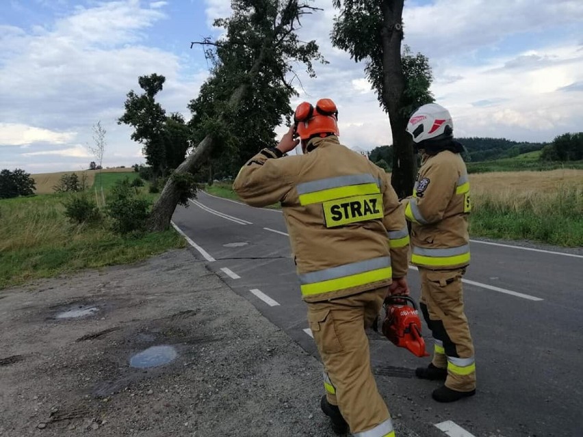 Burza, która przeszła przez powiat kwidzyński uszkodziła nie tylko drzewa i linie energetyczne, straty zgłosili też rolnicy [ZDJĘCIA]