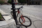 Wrocław: Policja poszukuje świadków potrącenia rowerzystki