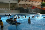 Łódzki Aquapark Fala wśród najlepszych obiektów na świecie