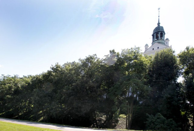 ZUK, spółka miejska, chce spełnić marzenie Zamku, wycinając drzewa na zamkowej skarpie. Tylko, że Zamek ma odmienne zdanie na ten temat