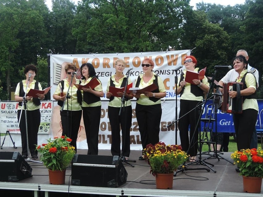 Wariacje akordeonowe 2013 w Złotowie.