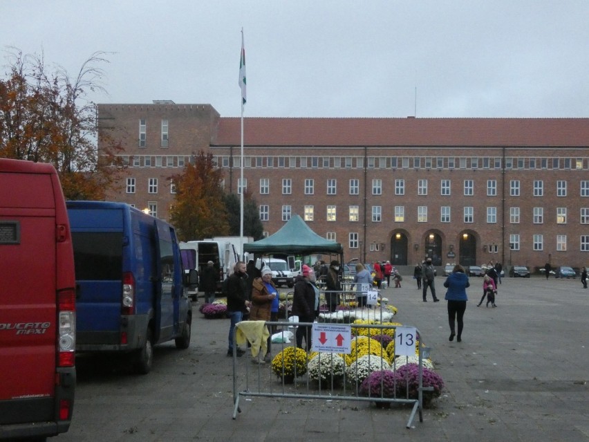 Targ Chryzantemowy był strzałem w dziesiątkę! [ZDJĘCIA]