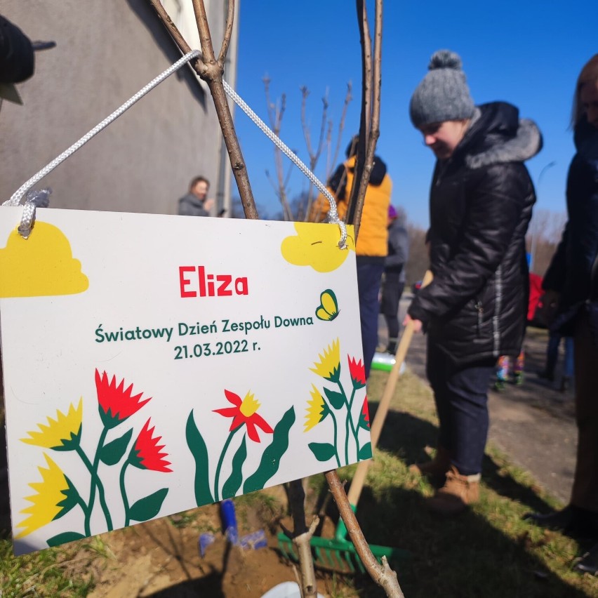 Światowy Dzień Zespołu Downa. „Okazujcie solidarność nie...