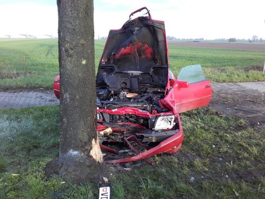 Grodzisk-Ruchocice: Mercedes rozbił się na drzewie FOTO