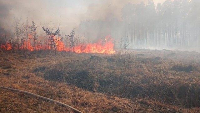 Spłonęło łącznie 35 ha lasu