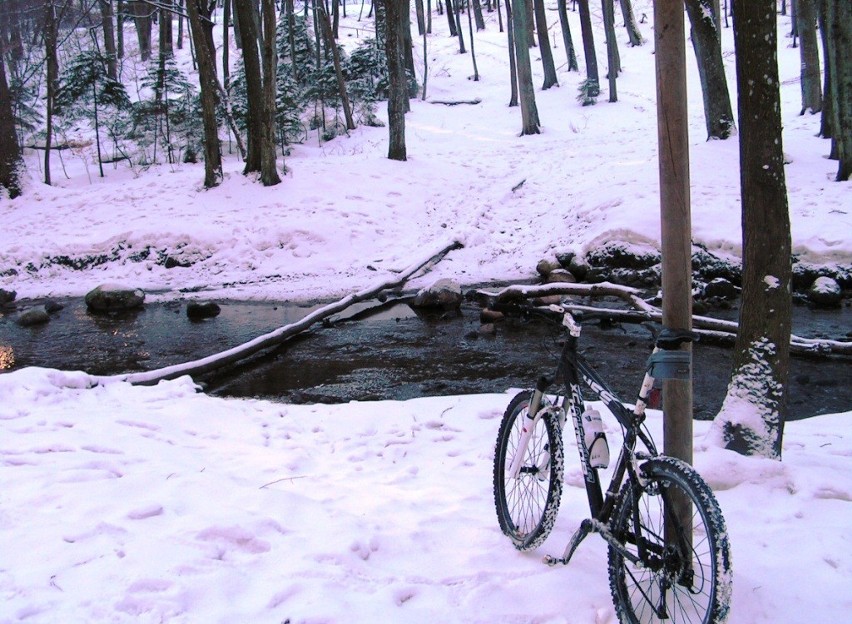 Gdynia: Rowerzyści razem z leśnikami sprawdzają szlaki rowerowe przez lasy