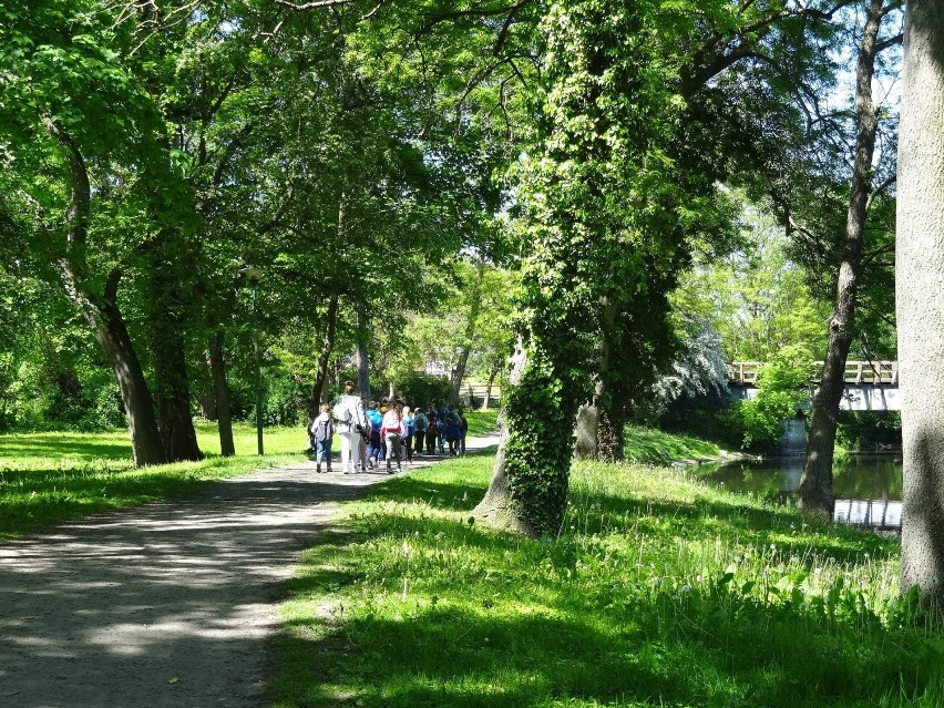 Zamek to idealne miejsce na spacery przedszkolaków i nie...