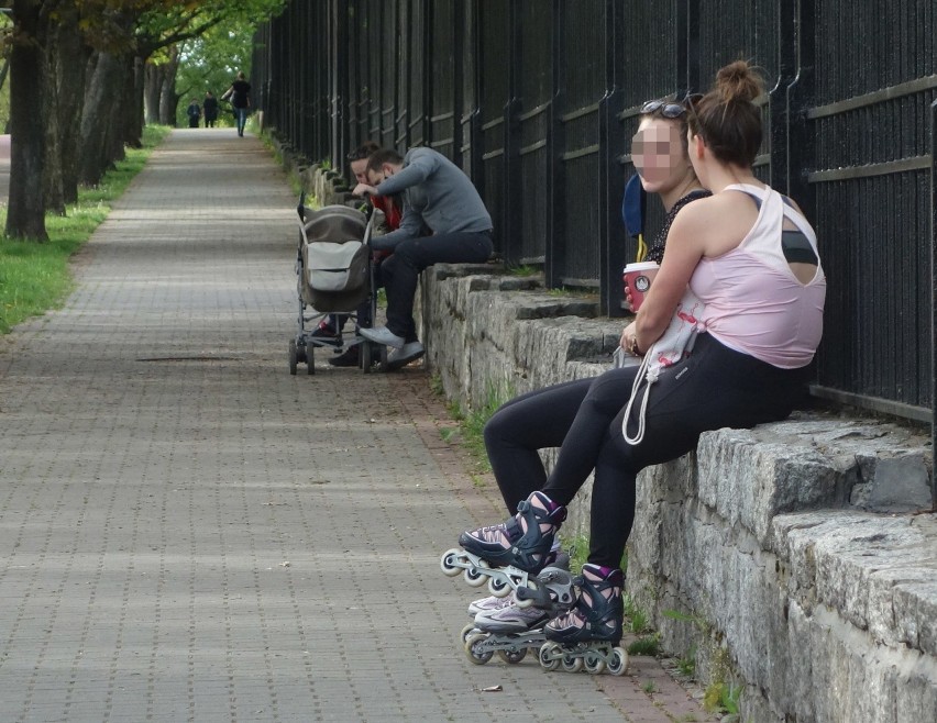 Park Śląski na wiosenny weekend. Można pospacerować w...