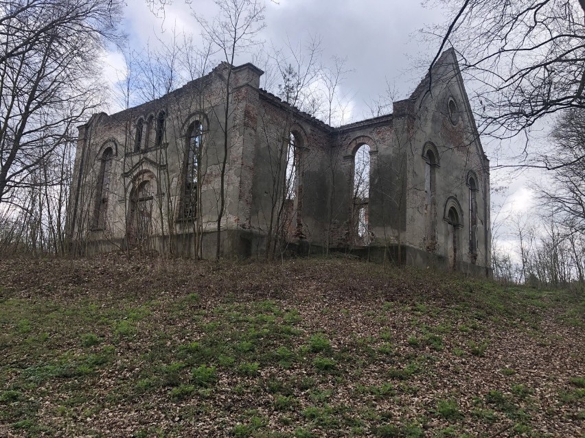 Park zadziwia o każdej porze roku. Teraz wiosną podziwiać tu...