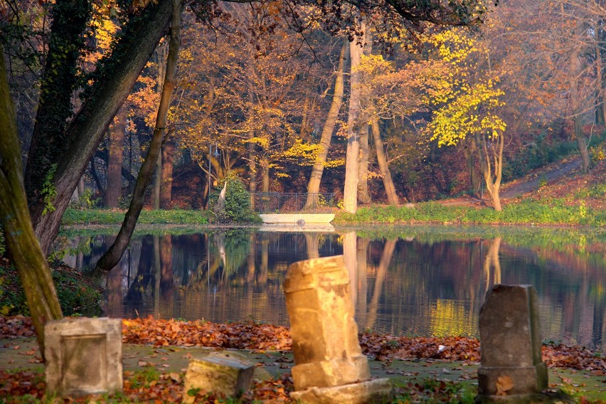 Gm. Pruszcz Gd. Park w Wojanowie walczy o nagrodę w  ogólnopolskim konkursie