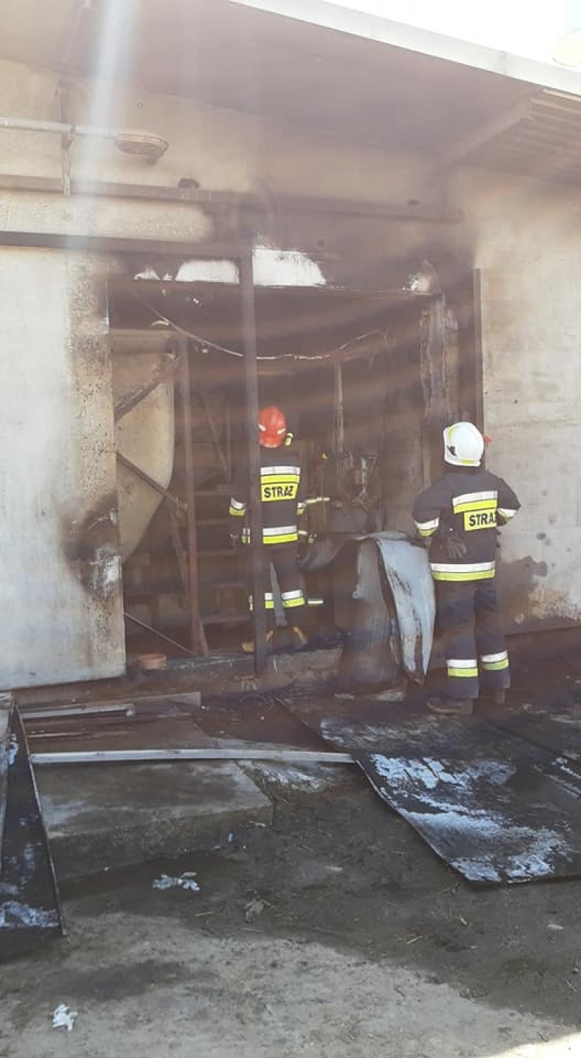 Dwa pożary w gminie Budzyń: Paliła się chlewnia w Ostrówkach i las w Brzekińcu [ZDJĘCIA]