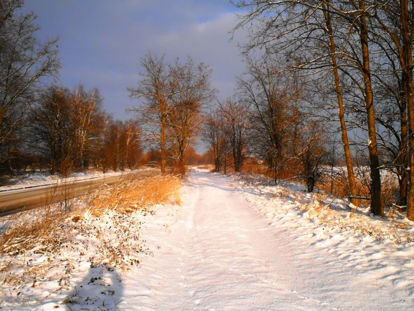 Opolska Malina w zimowej odsłonie [zdjęcia] 