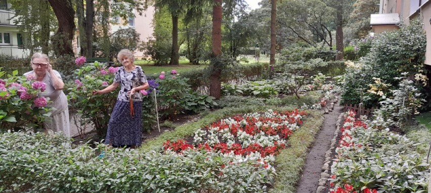 Kawałek raju w Łodzi. Najpiękniejsze ogródki przed blokiem w okolicy Ronda Lotników Lwowskich