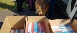Lubelskie: Pies służbowy Draba zdemaskował przemyt 46 tys. szt. papierosów