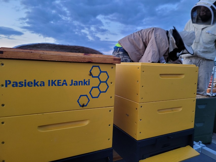 IKEA Janki ma nowych lokatorów