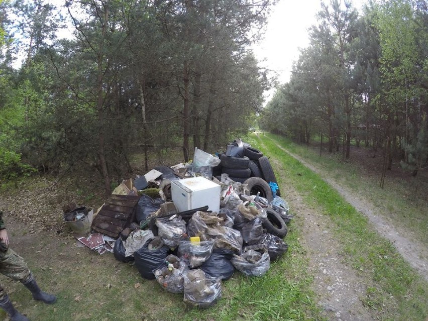 Mieszkańcy zlikwidowali dzikie wysypisko śmieci w Woli Załężnej. Sami posprzątali śmieci zalegające w lesie [ZDJĘCIA]