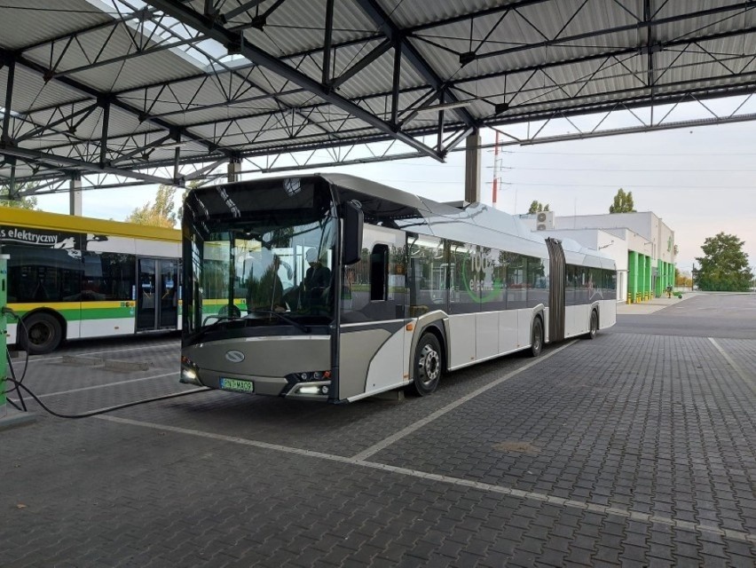 Obecnie zielonogórskie MZK dysponuje 43 autobusami...