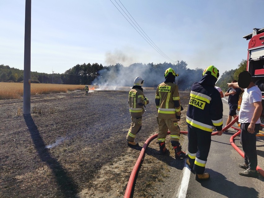 Strażacy z Pleszewa walczyli z kolejnym pożarem zboża na...
