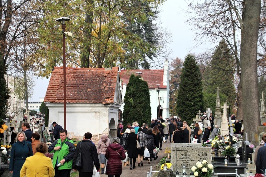 Na cmentarzu parafialnym w Zamościu