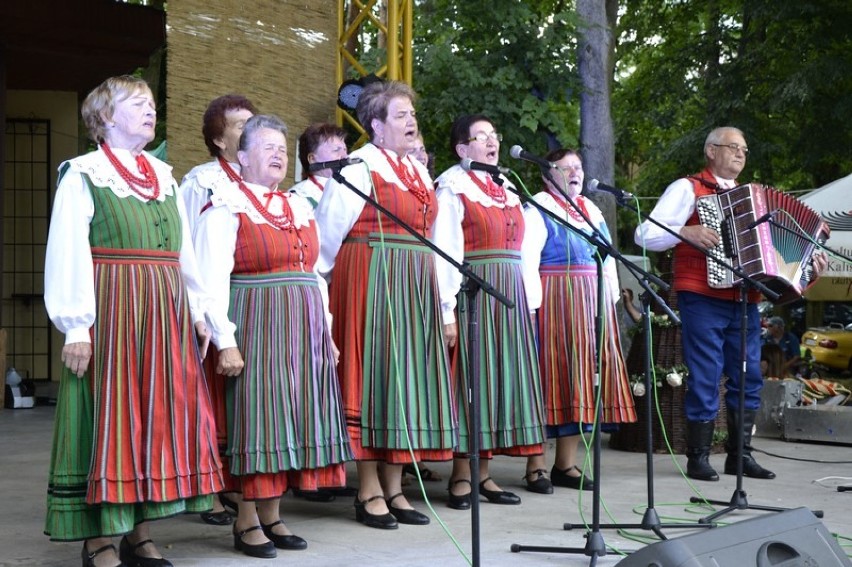 Estrada folkloru. Ludycznie w Brzezinach