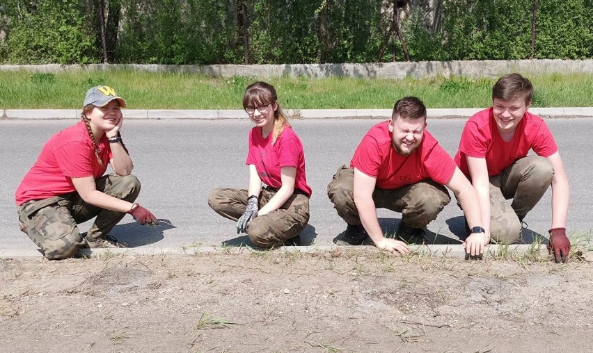 Pierwsza łąka kwietna w Radomsku już zasiana. Teraz tylko czekać na efekt pracy harcerzy [ZDJĘCIA]