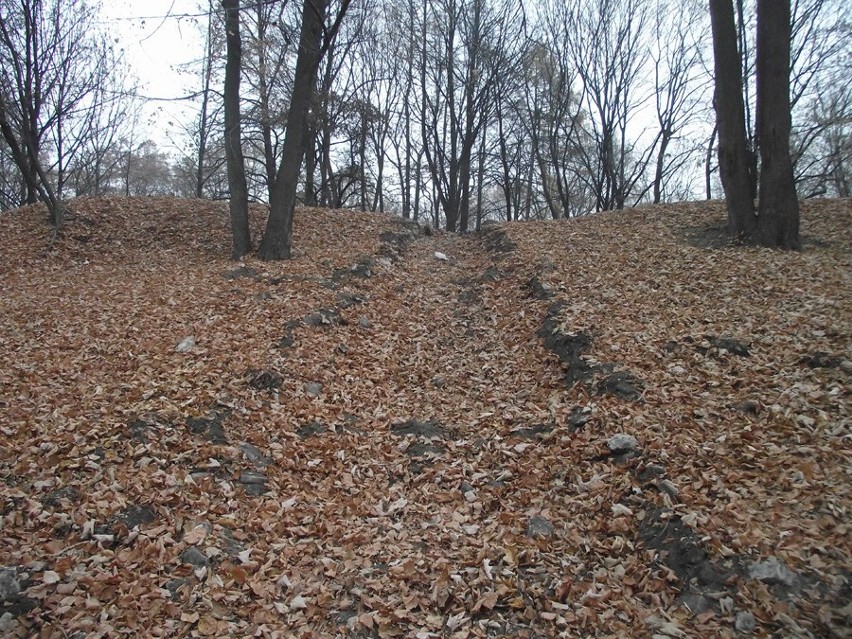 Rewitalizacja Wzgórza Zamkowego w Będzinie: Raport z budowy [listopad 2011]