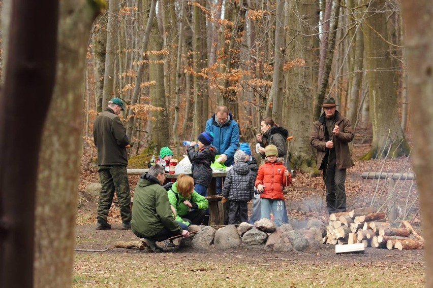 Nauczą się rozpalać ognisko, rozpoznawać drzewa i ptaki. Lekcje na łonie natury w Leśnym Ogrodzie Botanicznym "Marszewo" w Gdyni ZDJĘCIA