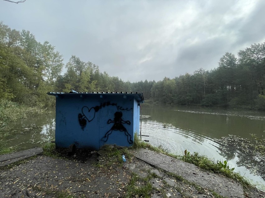 Śnięte ryby pojawiły się w zbiorniku przy ul. Szklarskiej  w...