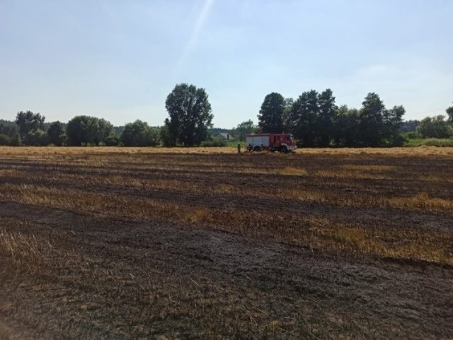 Chełmińscy strażacy walczą z ogniem. Dziś (4.08.2022) m.in. ugasili pożar na polu w Klamrach