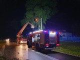 Po wichurach strażacy interweniowali ponad 40 razy. Drzewa leżały na drogach i płotach